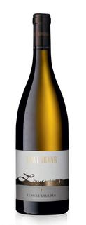 Alois Lageder "Löwengang" Chardonnay DOC