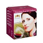 BiB Villa Teresa Merlot 5L