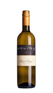 Soligo Pinot Grigio del Veneto IGT 2015