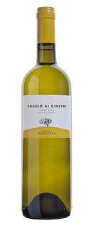 Tenuta Argentiera Poggio ai Ginepri Bianco Toscana IGT