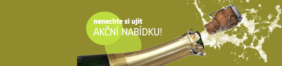 Akční Nabídka 